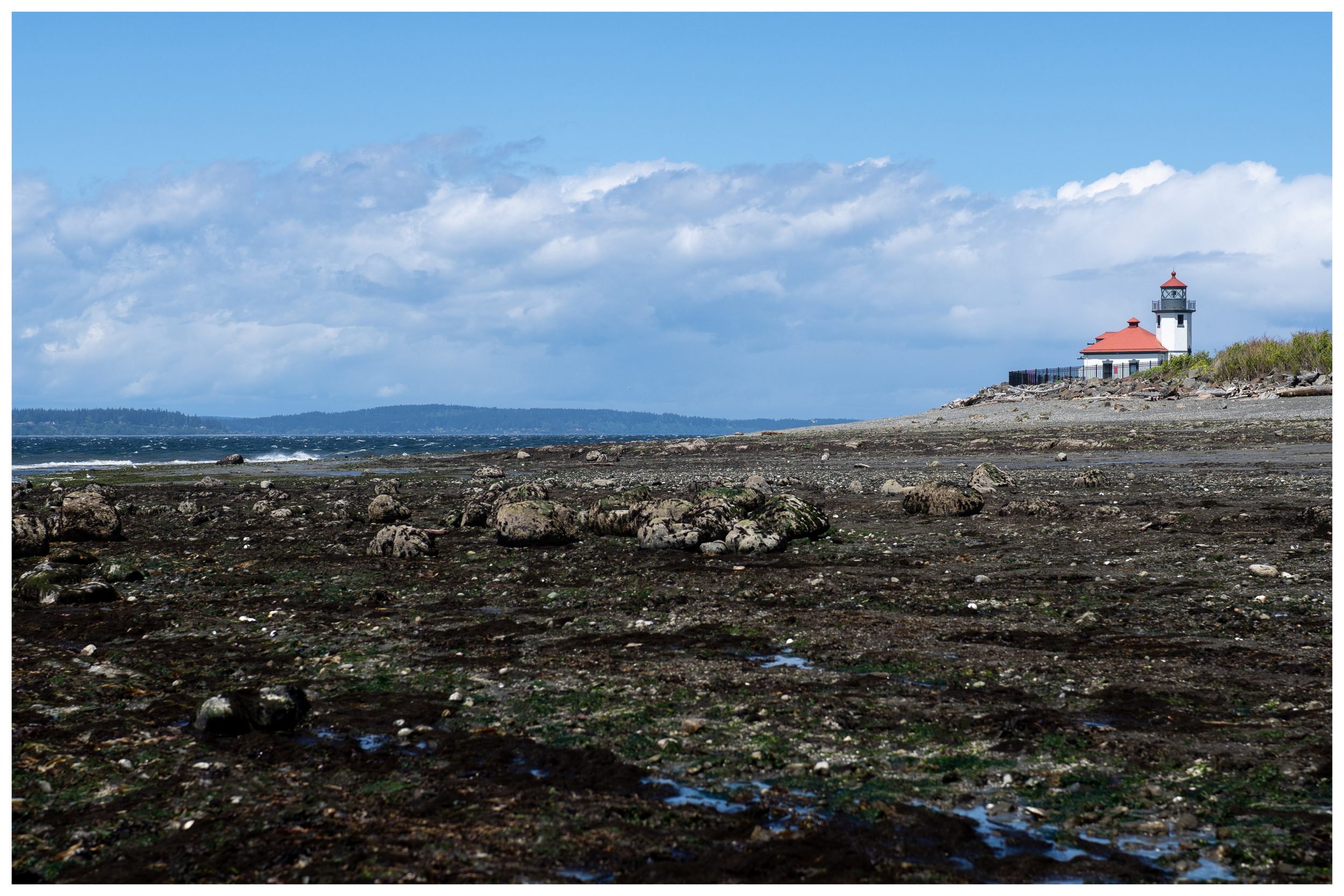 ALKI_SCENE_V24