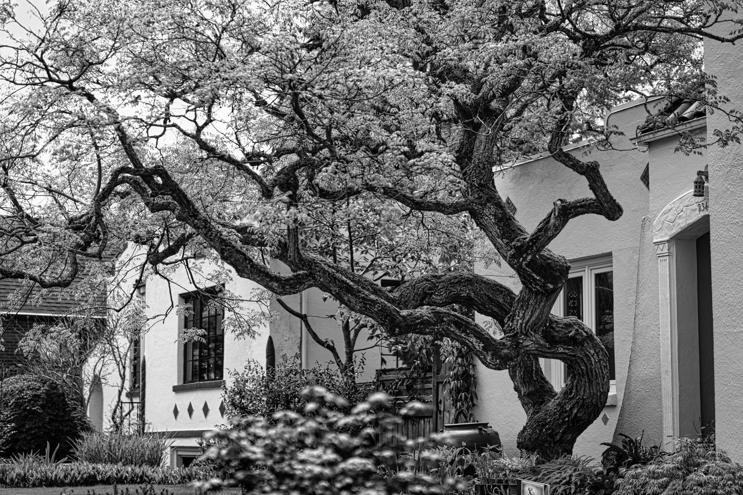 DSC06870-Edit